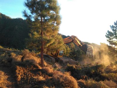 Finca Los Loros (Chivisaya)