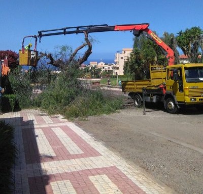 Obra en El Durazno (Puerto de la Cruz)